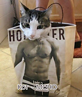 Ух ты! Я такой клевый мачо!