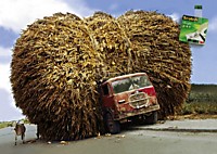 Мне тут давича небольшой стог сена заказали?Вот я и думаю хватит аль нет?