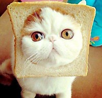 Рамку уже сделал...опять не так...вам не угодишь - фантазеры!