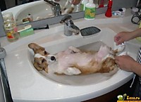 Такой СПА-процедуре даже звезды позавидуют.