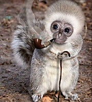 как меня только не называли! Но все равно я — Крестный отец!