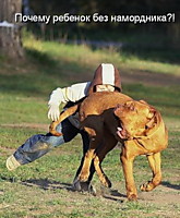 Смешные фото